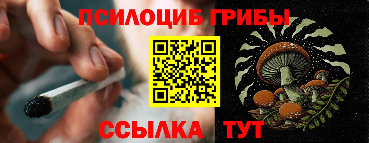 Галлюциногенные грибы Magic Shrooms Глазов